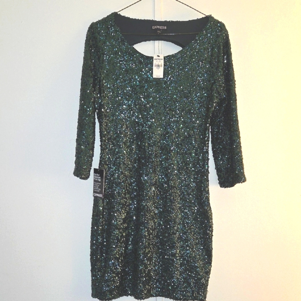Express Green Sequin Dress